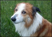 x-2013-jerry6.jpg